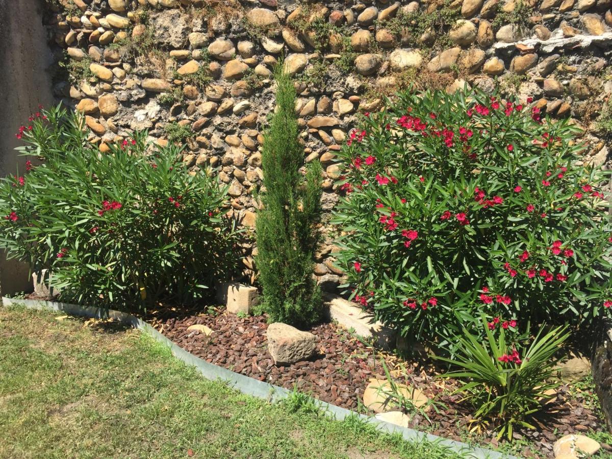 Le Charles IX Διαμέρισμα Roussillon  Εξωτερικό φωτογραφία